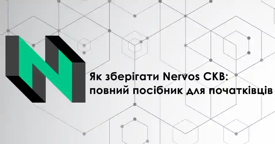 Як зберігати Nervos CKB: повний посібник для початківців